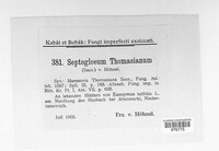 Septogloeum thomasianum image